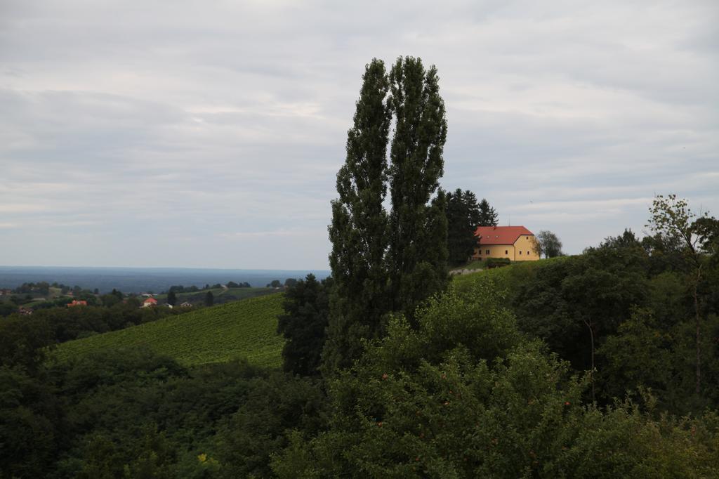 Holiday Home Maderka Stridóvár Kültér fotó