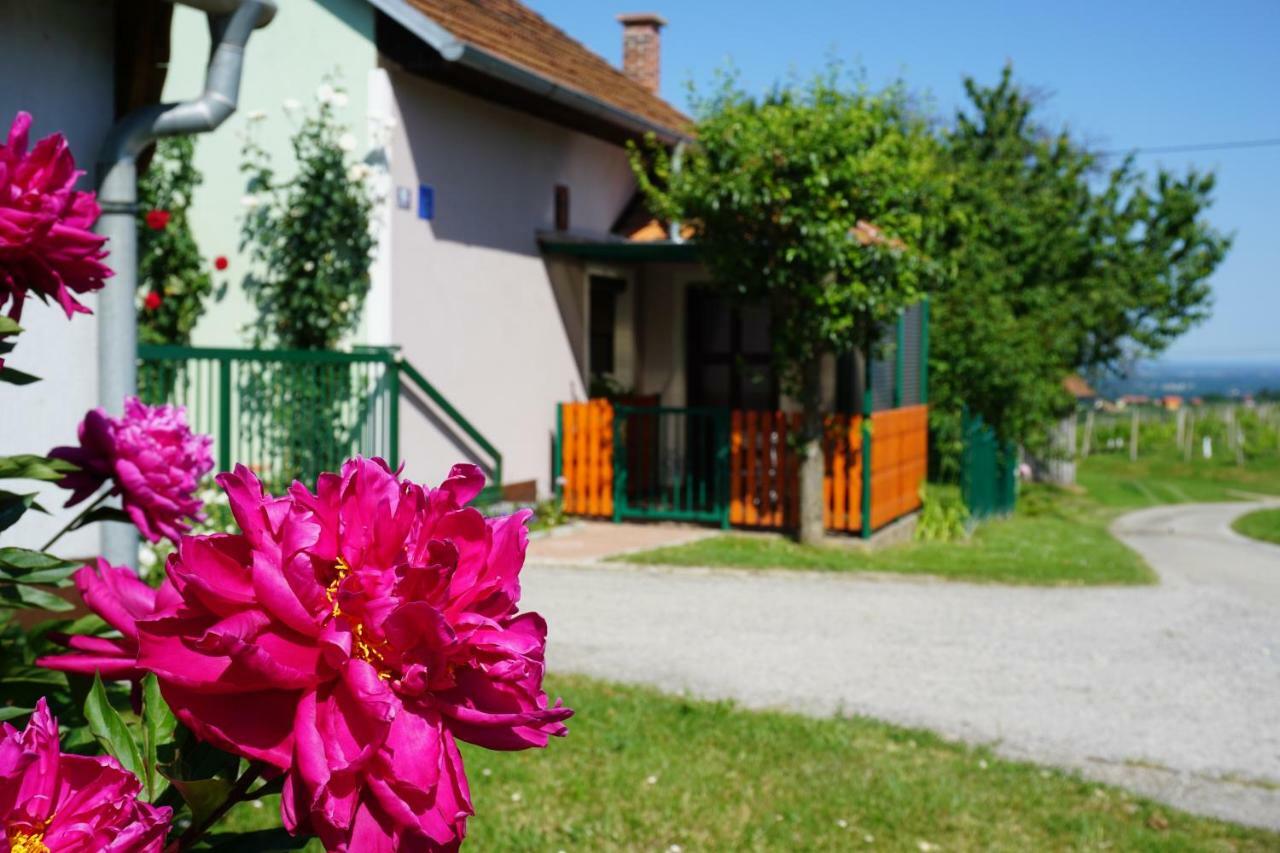 Holiday Home Maderka Stridóvár Kültér fotó
